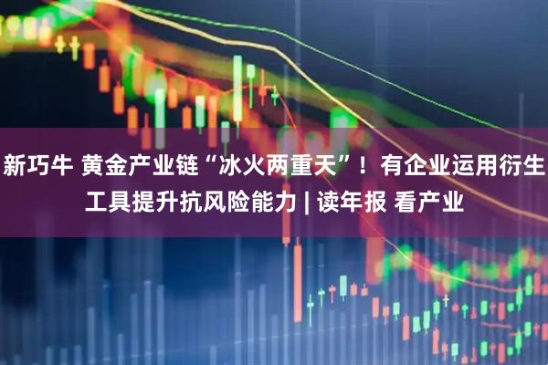 新巧牛 黄金产业链“冰火两重天”！有企业运用衍生工具提升抗风险能力 | 读年报 看产业