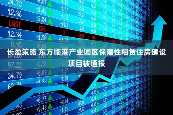 长盈策略 东方临港产业园区保障性租赁住房建设项目被通报