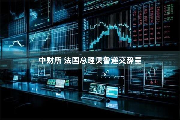 中财所 法国总理贝鲁递交辞呈