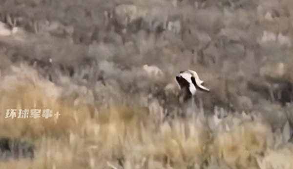 鸿岳资本 俄军指挥官扛起受伤下属在无人机威胁下穿越空旷地带，一路小跑2.5公里成功脱险